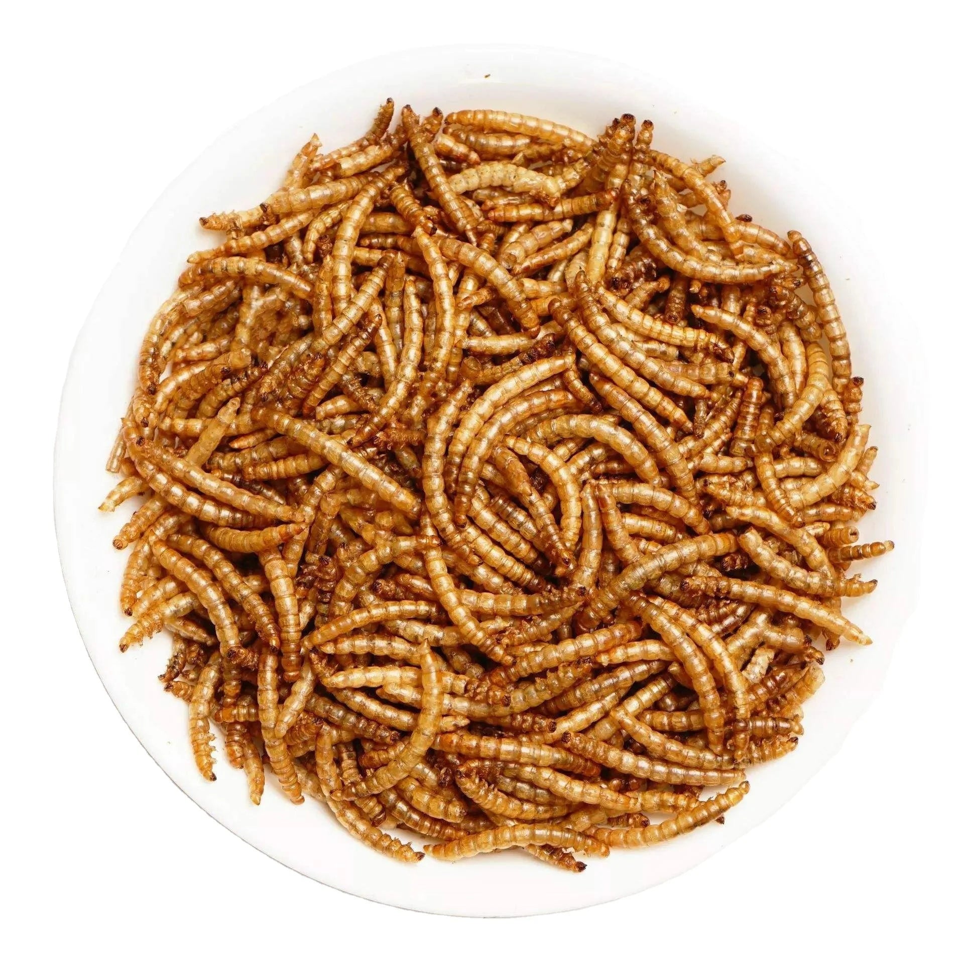 Wholesale Custom-packaged Dried Mealworm Larvae