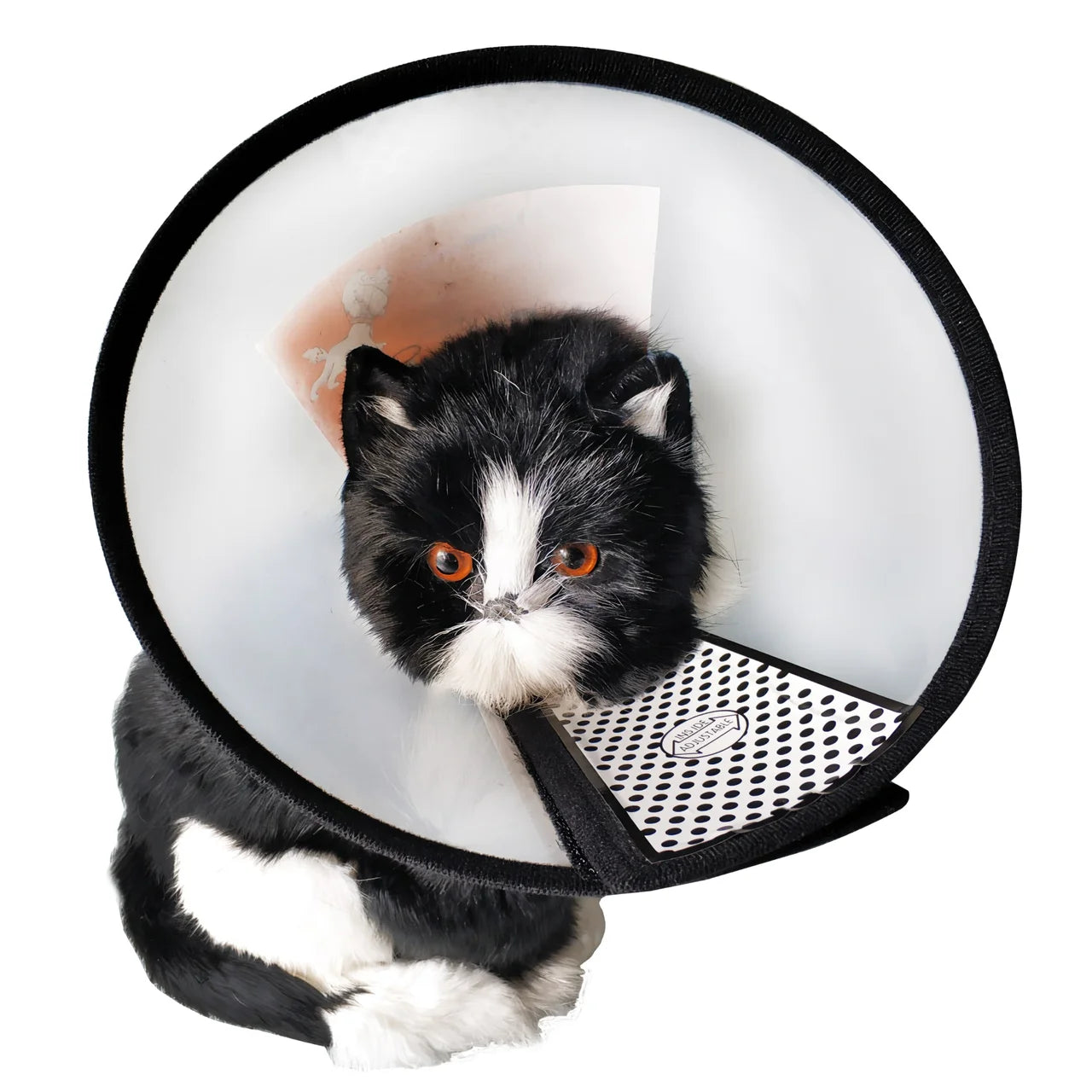 Recovery Soft Comfy Elizabethan Dog Cone Collar Flexible Plastic Cone Adjustable E-Collar for Large / Medium / Small Dogs Cat