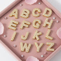 CZ8783 Hiphop Iced Out 18k Gold Plated Bubble Puffy Puffed Zircon Crystal CZ Micro Pave Alphabet Initial Letter Charm Bead Penda
