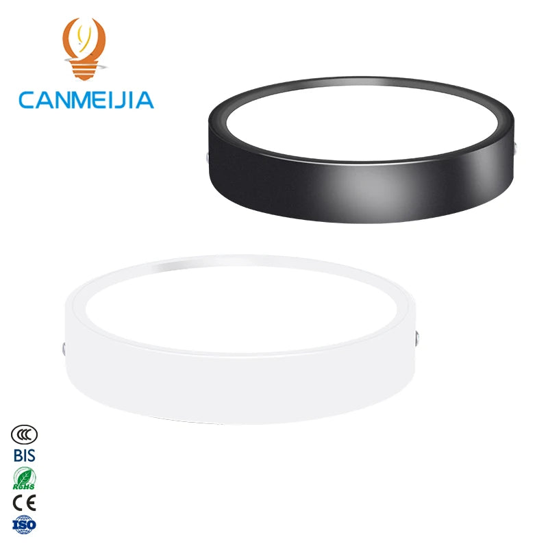 5W 10W 15W 25W Surface Mounted Downlight Ip44 Down Lighting Cob Led Downlight Led Module Downlight/Led Ceiling Light/Downlights MegaBDM