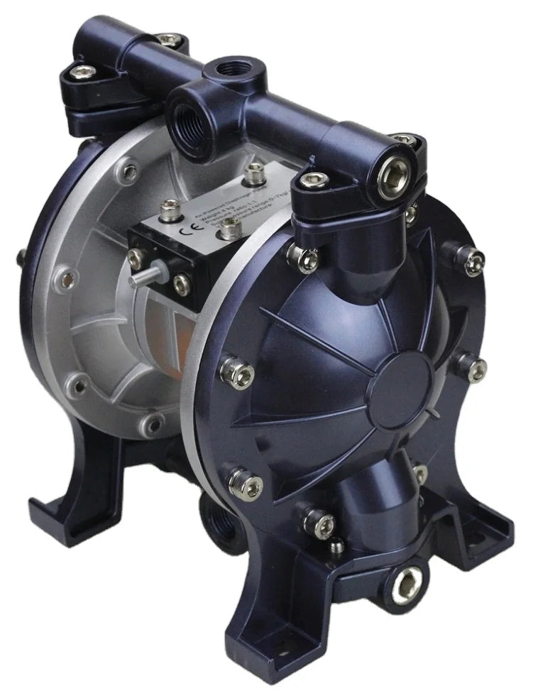Wholesale Delivery of All Kinds of Paint Diaphragm Pump/A-20 Diaphragm Pump