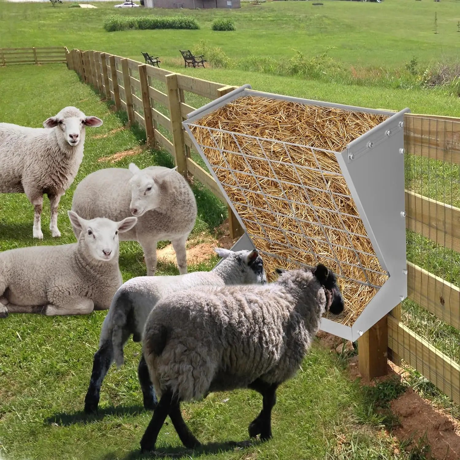 Wall Mount Hay Rack Heavy-Duty Galvanized Metal 2 in 1 Hay and Grain Feeder