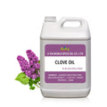 Wholesale Bulk Price 100% Pure Natural Clove Essential Oil