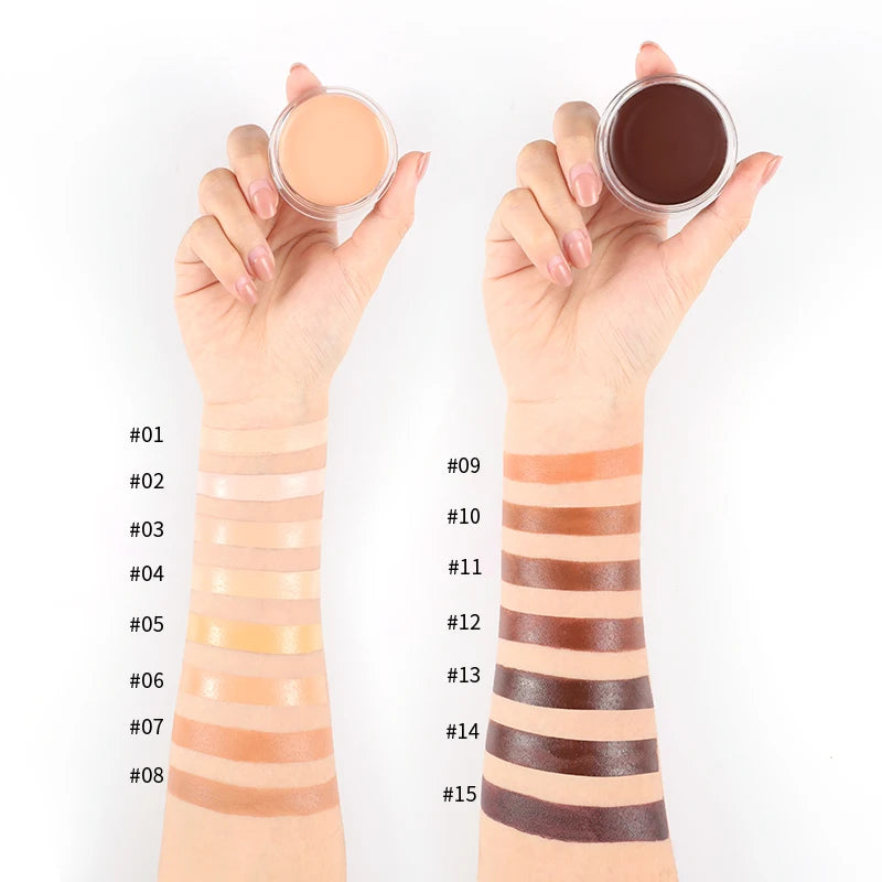 Pudaier High Pigment Concealer Creamy Makeup Light Weight Long Wearing Full Coverage OEM Concealer for Face and Body Makeup