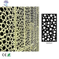Modern Curtain Walls Cladding Facade Screen Perforated Carved Panel Aluminum Laser Cut Panels