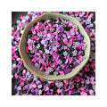 500g Mixed Purple Pink Black Candy Mint Mixed Clay Slices Sprinkles Soft Pottery Cutter for Slime Decoration DIY Nail Art Crafts