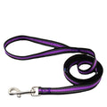 Hot Selling Small Nylon Webbing Dog Training Leash Adjustable Strong Rope for Dogs Cotton Polyester with Animal Pattern