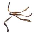 Wholesale Dried PHERETIMA Body Natural Dry Pheretima Aspergillum for Herb