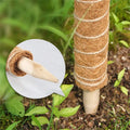 Top Seller  Self Watering Coir Potted Plant Monster Climbing Shape Bendable Support Extended Sticks Moss Poles for Garden Use