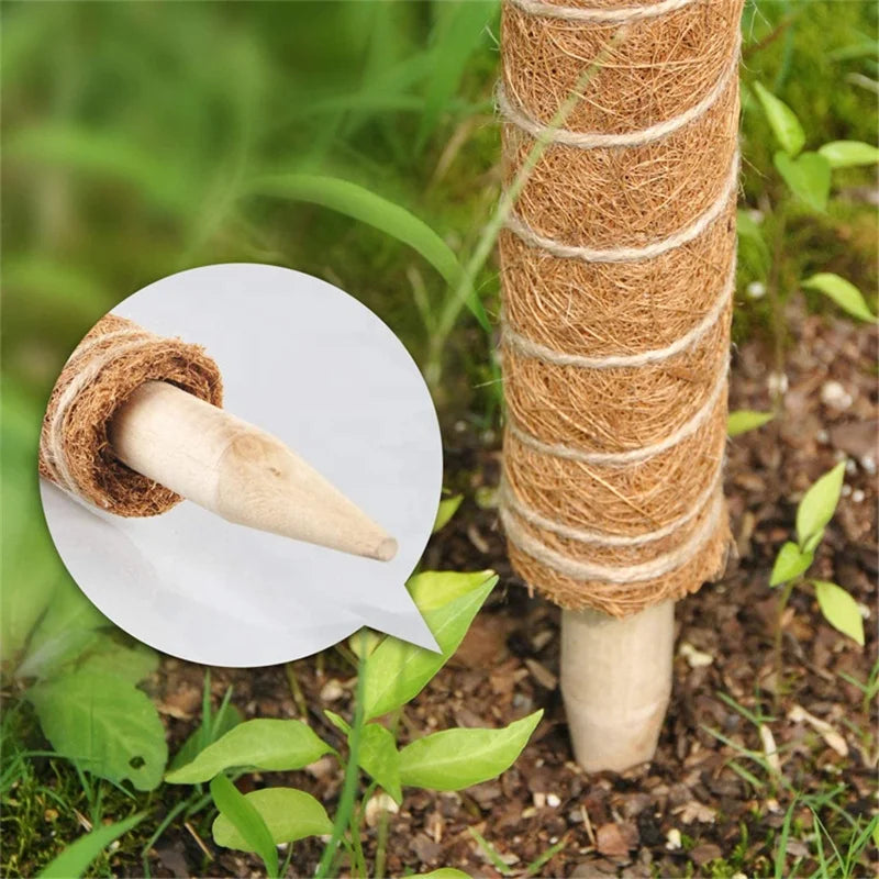 Top Seller  Self Watering Coir Potted Plant Monster Climbing Shape Bendable Support Extended Sticks Moss Poles for Garden Use