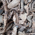 Yuan Wei Natural Raw Dried Japanese Roof Iris Rhizome for Herb