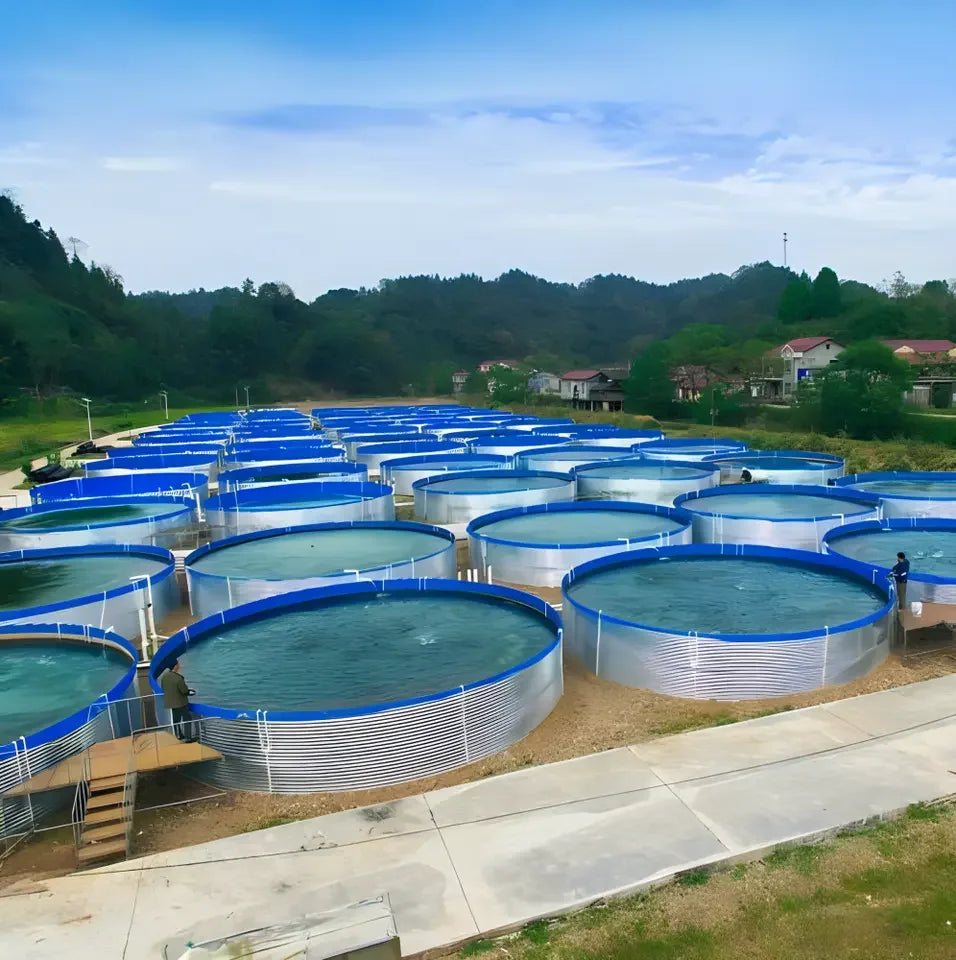 Guangzhou Lvju Aquaculture Farming Tank Commercial Fish Breeding Canvas Pond