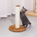 CATSOUL Interactive Pet Toys New Arrival Cat Climbing Frame Trees and Scratching Post
