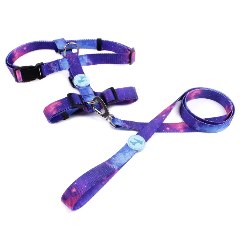 Adjustable Polyester Dog Harness Vest with Breakaway Feature and Customizable HS Dog Leash for Wholesale Pet Care