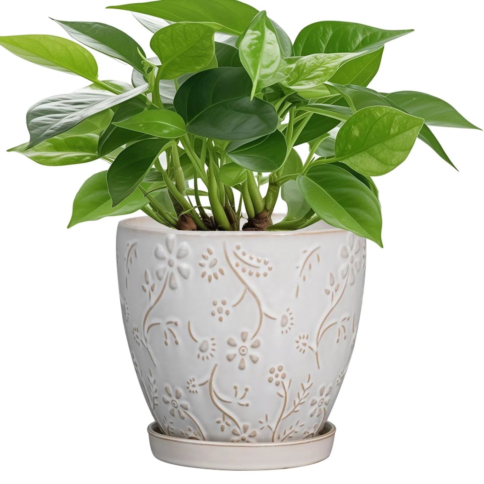 White Relief Flower Pattern Ceramic Plant Pot with Saucer Drainage Hole Garden Exquisite Planter Home Decoration