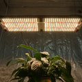 KingBrite 240W LED Samsung LM301H 3500K+660nm Red Separate Control UV IR Full Spectrum Led Grow Light
