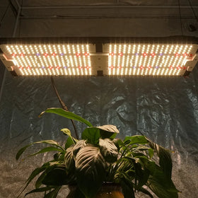 KingBrite 240W LED Samsung LM301H 3500K+660nm Red Separate Control UV IR Full Spectrum Led Grow Light