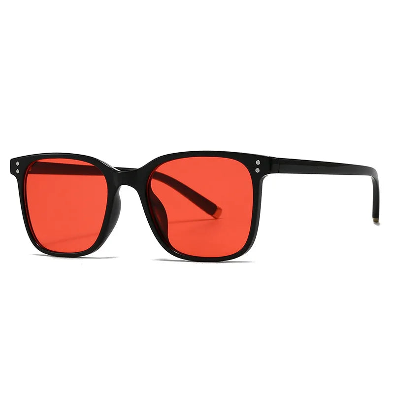 2025 Modern Retro Square Double Beam Sunglasses Custom Logo Shades with UV400 Protection PC Frame Material