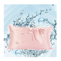 100% 6A Pure Mulberry Silk Pillowcase 22 Momme Hyaluronic Acid Solid Woven Hidden Zipper for Home and Hotel Skin Care