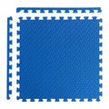LinyiQueen Shock-absorbing Non-Toxic  Interlocking Gym Mat EVA Kabaddi Puzzle Exercise Mat