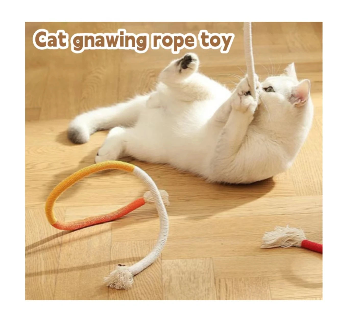 New Cat Tear-grinding Rope Toy Catnip Gall Fruit for Cats and Dogs Universal Wear Resistant Bite Cat Toy