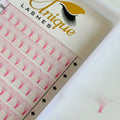 Volume Pre Made Lashes Eyelashes Wholesale From Korea 5d 6d Heat Bonded Premade Fans