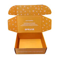 Express Custom Color Clothing Package Cardboard Box Packaging Corrugated Box with Printing logo