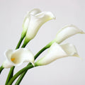 Y-H146 Wholesale Decorative PU Calla Lily Artificial Flowers Large Size 65CM Artificial Calla Lily Flowers