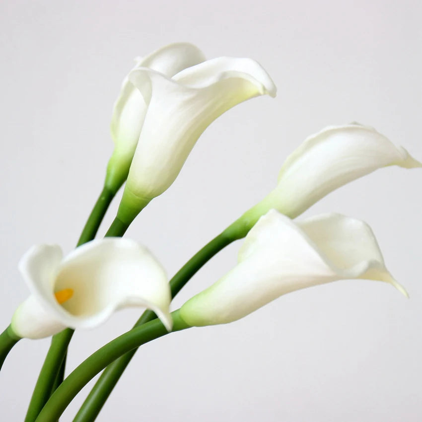 Y-H146 Wholesale Decorative PU Calla Lily Artificial Flowers Large Size 65CM Artificial Calla Lily Flowers