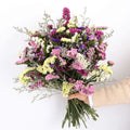 Beautiful Colorful Long Lasting Do Not Forget Me Preserved Myosotis for Home Decor