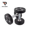 Pilot Sports Weight Lifting Fitness Gym Fitness Equipment Round Head Rubber Dumbbell Dumbbells Set