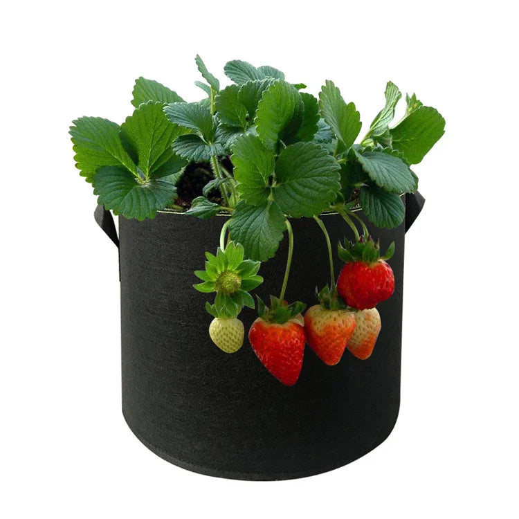 Free Samples 5 7 10 15 25 30 100 Gallon Felt Grow Bags Thickened Fabric Pots with Handles Felt Grow Bags Plant Grow Bags