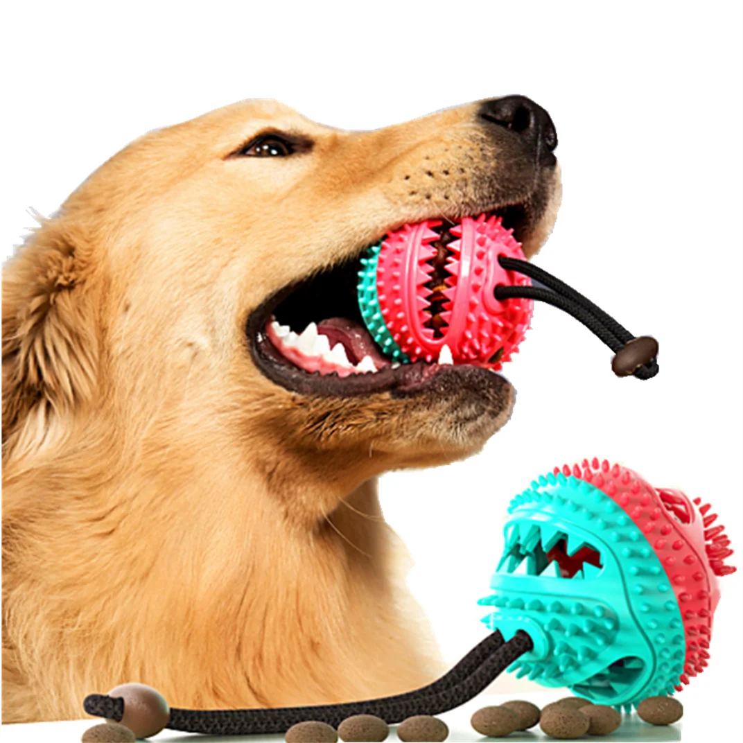 Eco-Friendly Durable TPR Dog Ball with Rope Dog Chew Toys Dispenser Ball Food Treat Dog Toothbrush Toys