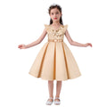 Hot Sale Red Ball Gown Children's Beautiful Sleeveless Baby Dresses Summer Wear Girl Kids Party Frock Dress C0062