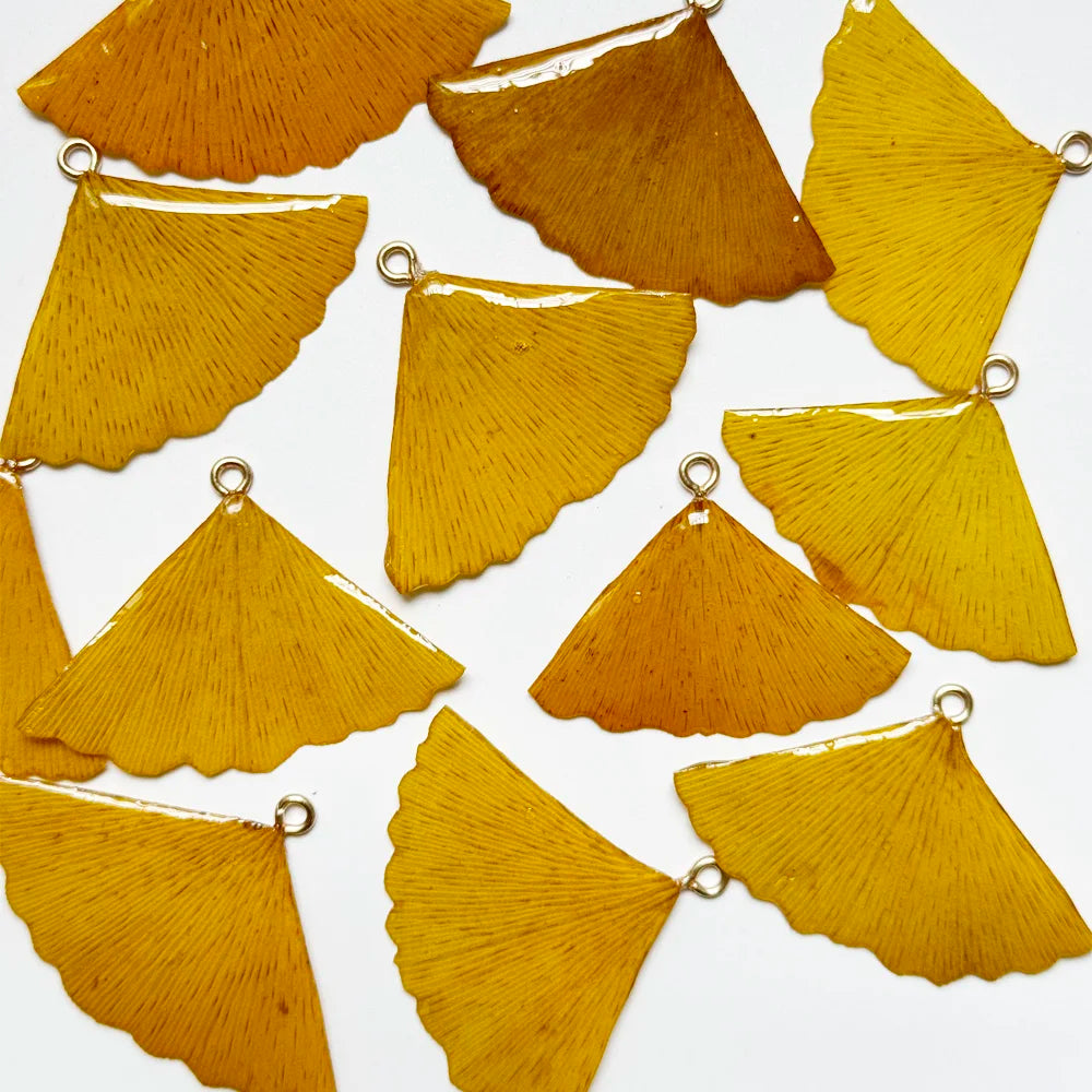 Fashionable  Plant Leaf Jewelry  Real Dried  Ginkgo Pendant Charms for Earrings Necklace Diy Accessories Jewelry Making