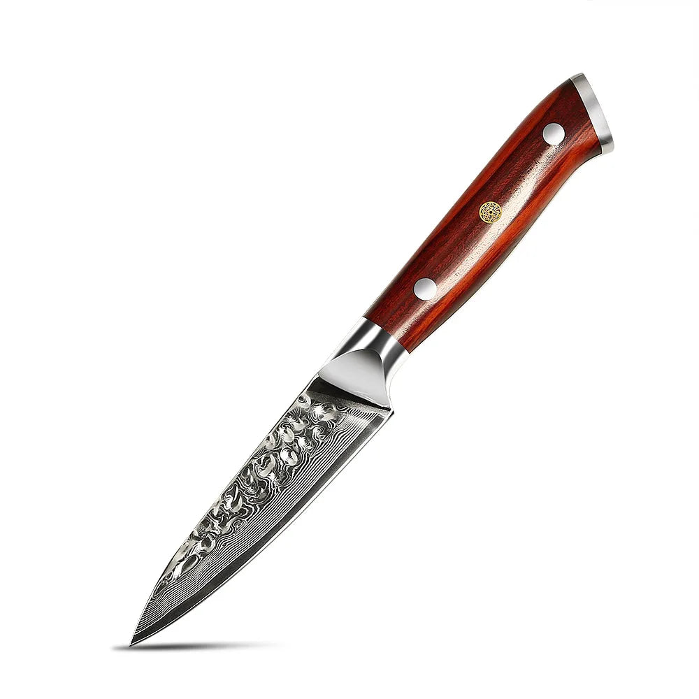 Kitchen Paring Knife Damascus Steel Fruit Kitchen Knife Kitchen Fruit Knives
