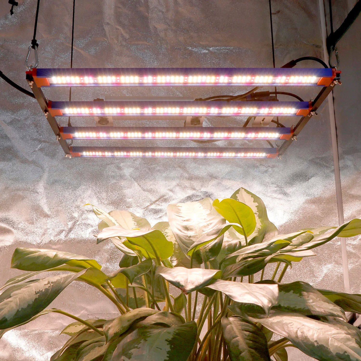 Greenhouse Hydroponic IR UV 240 Watt 660nm Red Full Spectrum Led Grow Light for Commercial Plant