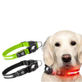 Lazy Pet 2025 IPX7 Waterproof USB Rechargeable LED Light-Up Dog Collar Buckle Closure Nylon Solid Pattern Classic Simple Style