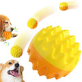 Luxury Eco-Friendly Dog Cat Chew Toy Durable TPR Sound Teething Ball Bone Shape Fashion Pet Toy Bag Packaging for Teeth Cleaning