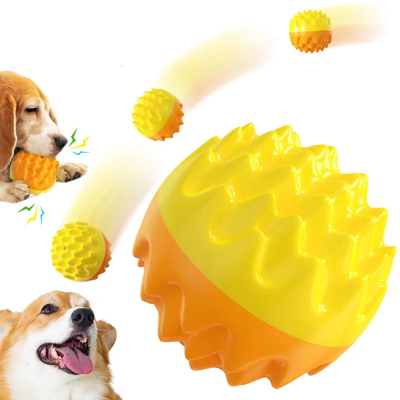 Luxury Eco-Friendly Dog Cat Chew Toy Durable TPR Sound Teething Ball Bone Shape Fashion Pet Toy Bag Packaging for Teeth Cleaning