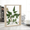 6 Inch Transparent Double-Sided Glass Acrylic Photo Frame New Floating Specimen Shadow Box for Flower Decorations Made Pine Wood