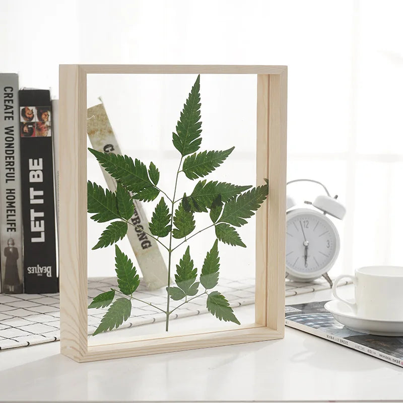 6 Inch Transparent Double-Sided Glass Acrylic Photo Frame New Floating Specimen Shadow Box for Flower Decorations Made Pine Wood
