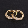 Hip Hop Personality Style Circle Bubble Earrings Zircon Earrings Men's Light Luxury High-end Earrings