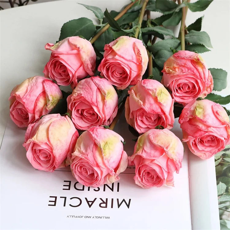 Factory Direct Sale N-0352 High Quality Silk Dried Touch Long Stem Rose Artificial Silk Roses for Home Decoration