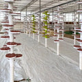 Factory Manufacture Hydroponic Growing Vertical Towers Spiral Stereoculture Vertical Farm Equipment