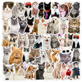 50PCS Funny meme cute kitty lovely cat sticker