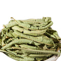 Lemon Beebrush Leaf Tea Amazing Tasty Health Lemon Beebrush Leaves for Tea