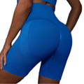 Summer New Women's Seamless High Waist Butt Lift Shorts Sports Workout Yoga Fitness Shorts