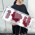 Wholesale Black Color Mother's Day Valentine's Day Preserved Rose Flower Mom Flower Box