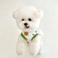 Summer Teddy Bitter Panda Cat Pet Vest Small to Large Dog Clothing in Polyester Printed Design